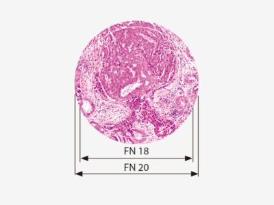 Olympus Microscope CX23 LED 2 product cx23 overview 02